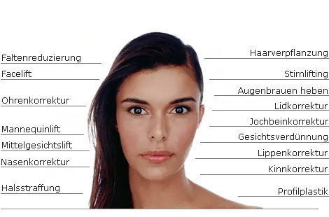 Kopfbereich Übersicht
